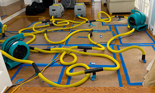 Professional Crawl Space Water Removal technician working in Milford, MI